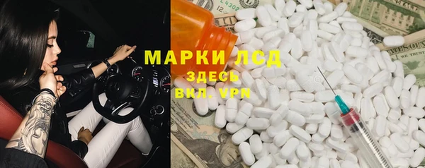 гидра Надым