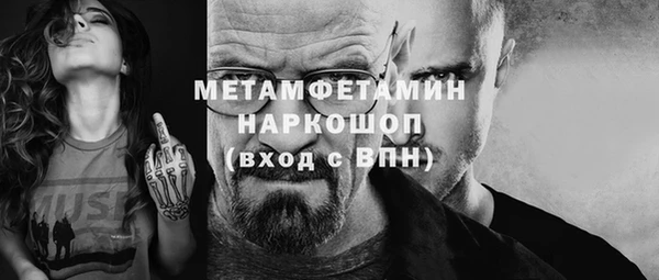 гидра Надым