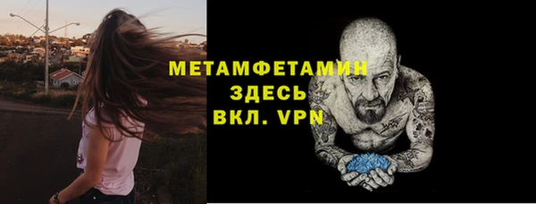 гидра Надым