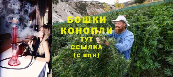 гидра Надым