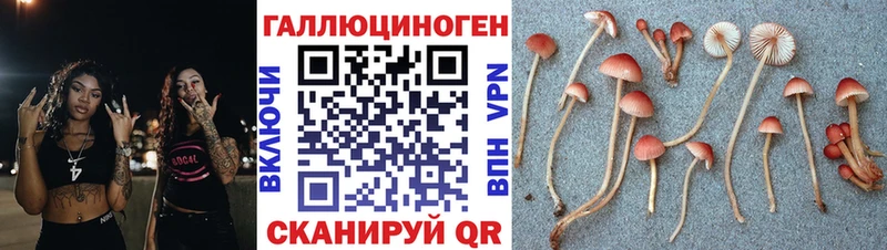 купить закладку  Нефтекумск  hydra рабочий сайт  Галлюциногенные грибы Psilocybine cubensis 