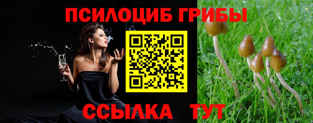 Псилоцибиновые грибы прущие грибы Нефтекумск